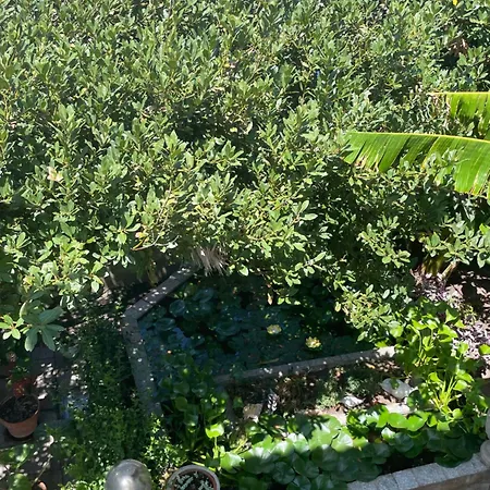 La Casa Di Mannazzotta 1 B&B 3*