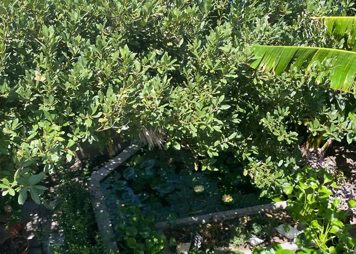 La Casa Di Mannazzotta 1 Bed and breakfast 3*